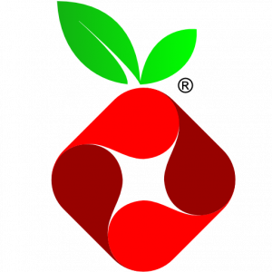 Pi Hole logo